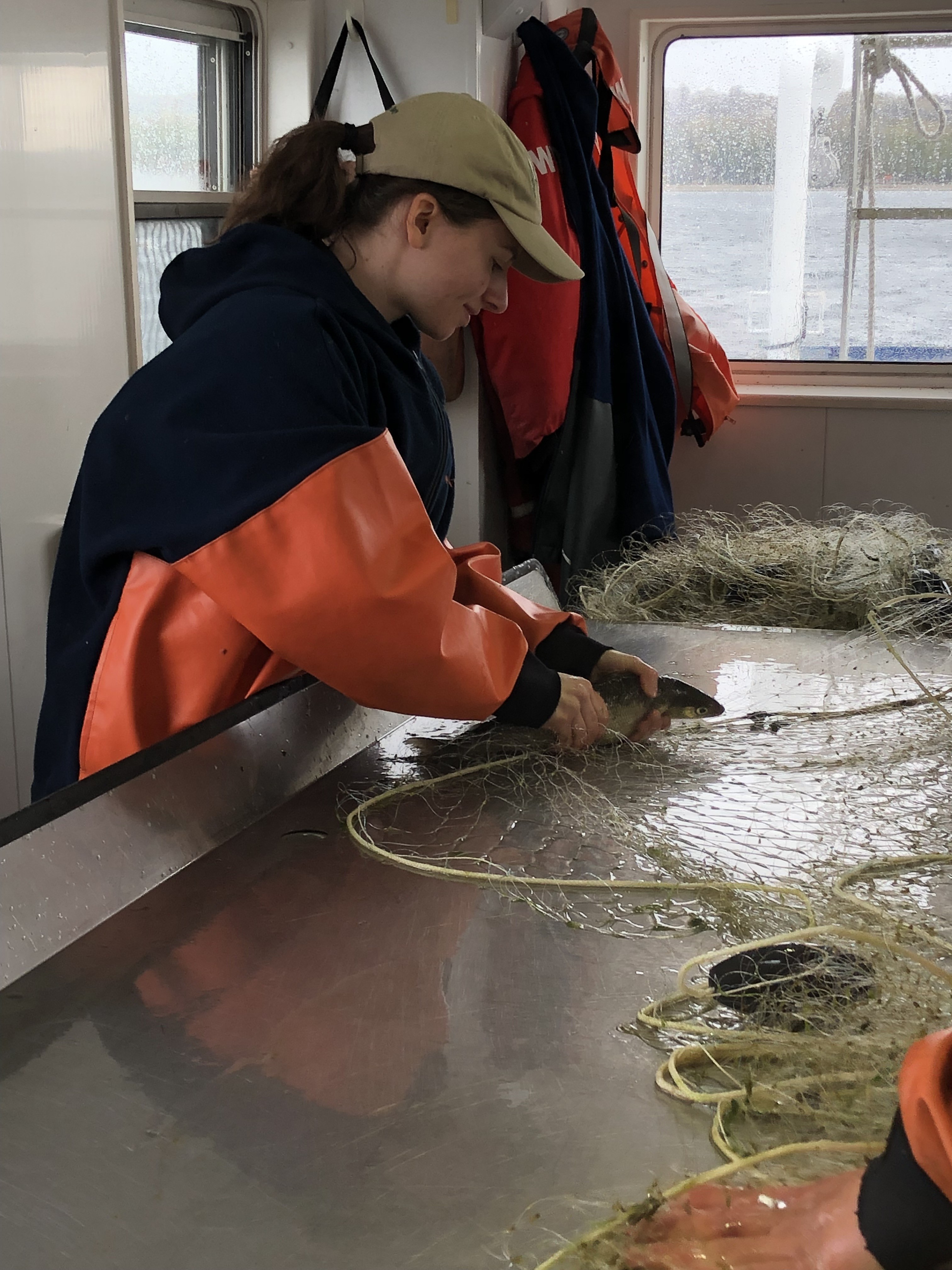 Graduate student Alicia Krause holds lake whitefish from Lake Michigan.  