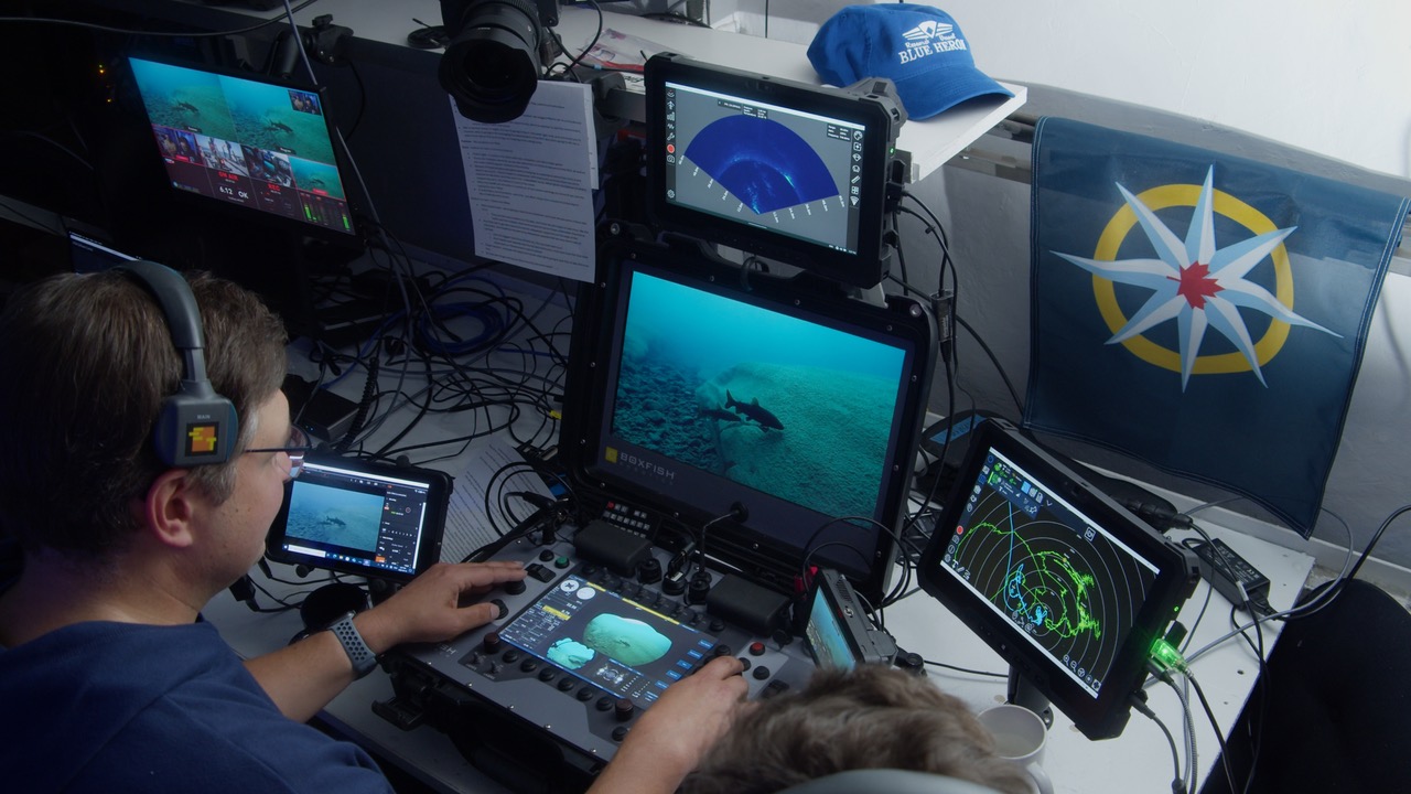 Zach Melnick flying an underwater drone equipped with a cinema-grade camera down the flank of Superior Shoal during a livestream in September. 