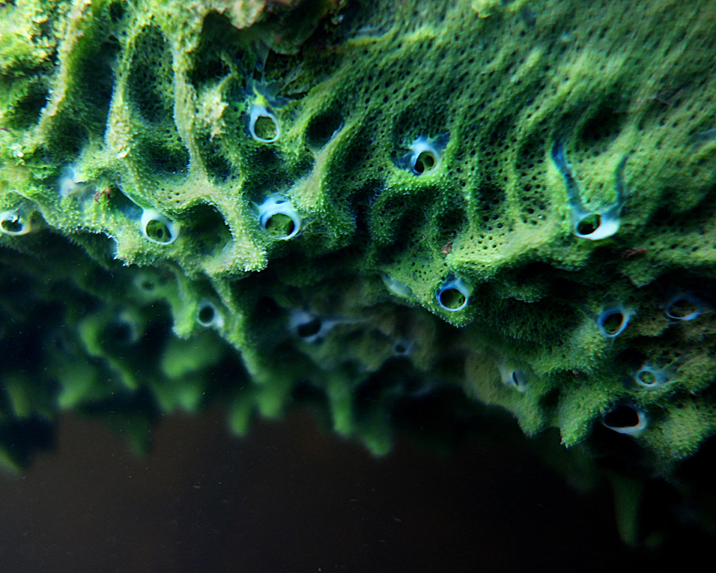 Crossing borders: Art, science, and the Great Lakes
