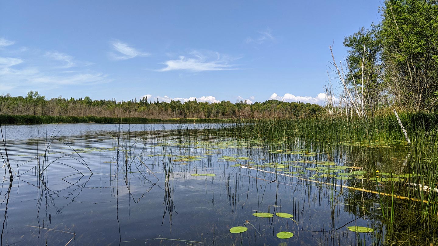 Great Lakes coastal wetlands