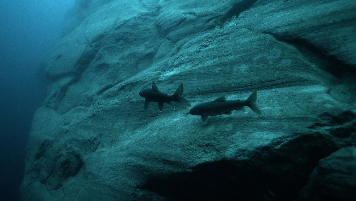 Rising from the abyss: Discovering the role of lakemounts in Great Lakes