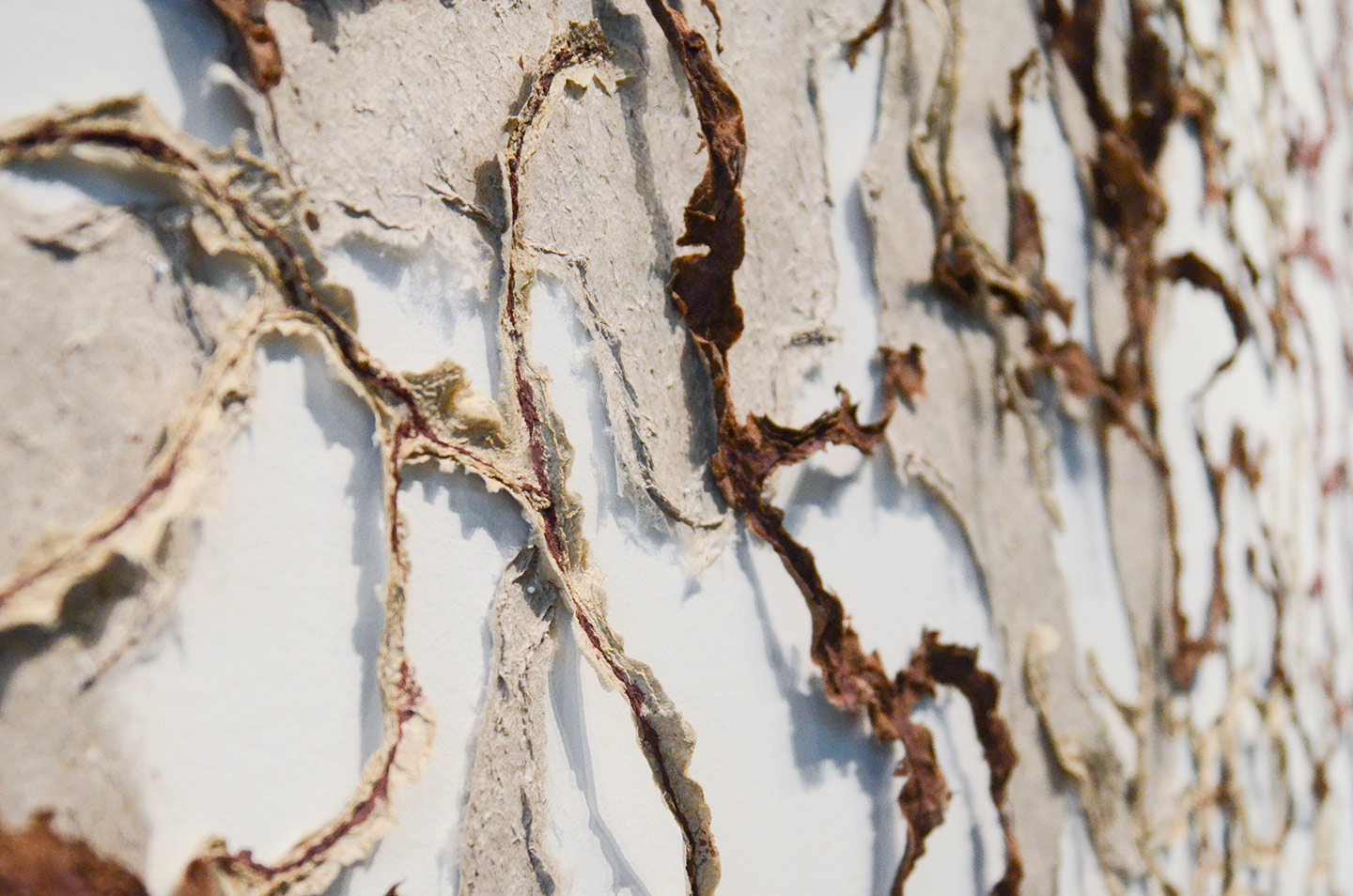 Waterways and local plants inspire papermaking artists